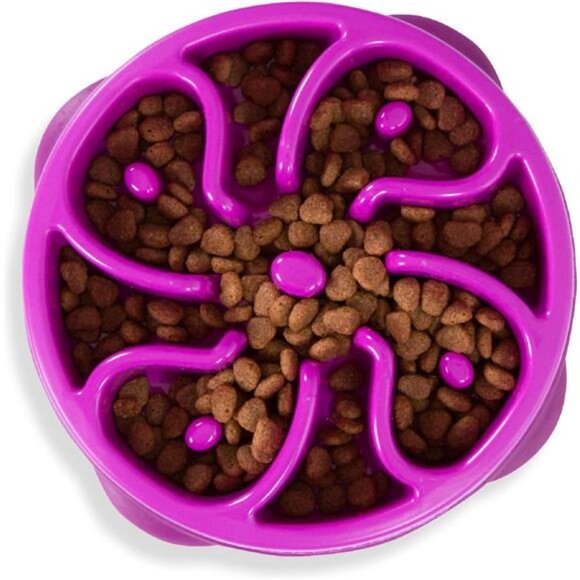 Dog Bowl feeder Puppy bowl Slow Feeder Medium size Purple - Picture 1 of 7